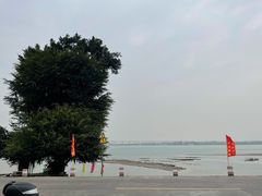 -八仔大富楼·河鲜(西江店)