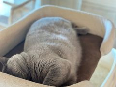 -Me Coffee下午茶艺术空间