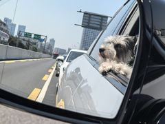 -安安宠医·臻爱宠物医院·宠保定点(营门口路分院)