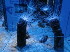 -横店影视城梦幻谷园区