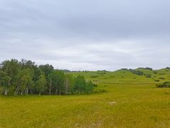 -塞罕坝国家级自然保护区