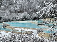 -黄龙山原始森林景区