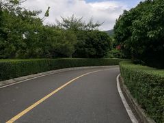 -大屏嶂森林公园