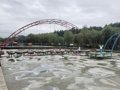 -东方巨龟苑景区