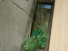 -九田家黑牛烤肉料理(衡百国际店)