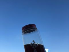 -栖露营camping·天幕烧烤·团建拓展·采摘营地