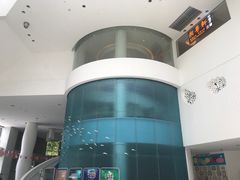 -深圳东部华侨城瀑布酒店