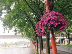 -南京眼步行桥