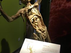 -生命奥秘博物馆