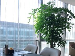 -建滔诺富特酒店-悦餐厅