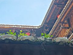 -南靖田螺坑土楼群景区