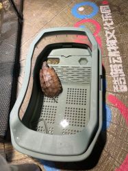 -酷嗒动物文化乐园(cutezoo西溪乐天城店)