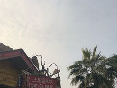 -迪士尼火鸡腿