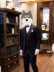 点击看大图 -Mr.Royal御匠先生·手工全麻衬衣西服定制