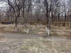 -西青郊野公园