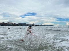 -玫瑰海岸文化旅游度假区