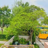 金陵图书馆·云几书房Brunch&bistro(莫愁湖店)