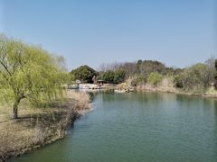 -南湖湿地公园