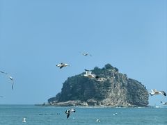 -棒棰岛宾馆景区