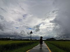 -光明小镇欢乐田园