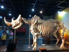 -广东中医药博物馆