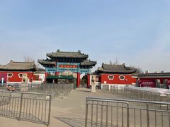 -曹州牡丹园
