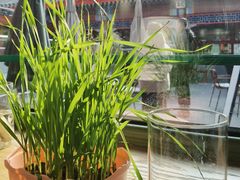 -Catch Bagel(芳草地店)