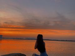 -瑶湖郊野森林公园