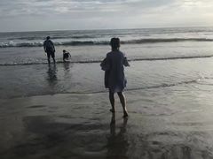 -东姑阿都拉曼海洋公园