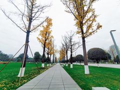 -重庆中央公园(渝北区)