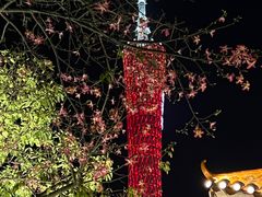 -海心沙亚运公园