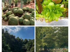 -上海辰山植物园