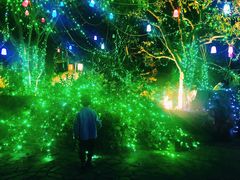-虞山城墙