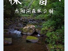 -普洱太阳河森林公园