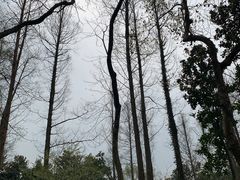 -浙江西子宾馆·瑶园咖啡厅