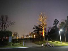 -白石龙音乐公园