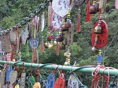 -西双版纳原始森林公园