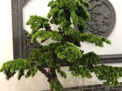 -呼吸森林·生态农庄农家乐私房菜