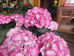 -慢丽江·云南野生菌土鸡锅(西山店)