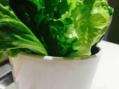 -古乐牛香·鲜牛肉牛杂火锅(新区店)