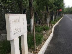 -永定河休闲森林公园