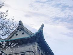 -武汉大学-樱园
