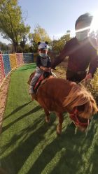 -萌宠亲子动物乐园(槐房万达店)