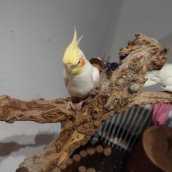 -Zoolung Zoolung动物主题公园(海信广场店)