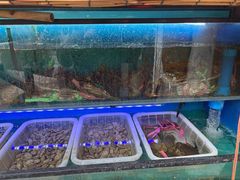 -十面欢腾·海鲜面·台式Bistro(长乐路店)
