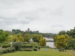 -张坝桂圆林公园
