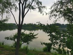 -东郊湿地公园
