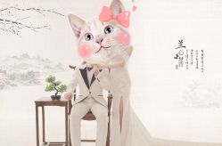 -保定巴黎婚纱摄影