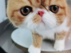 -极木²邸 人与宠物·互动社区