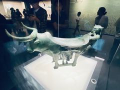 -云南省博物馆
